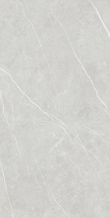 Керамогранит ELITE SILVER (6mm) (матовая) 120x280 от TAU Ceramica (Испания)