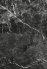 Настенная плитка Помпеи 1Т 27.5x40 от Керамин (Беларусь)