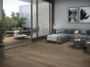 Керамогранит Ducale Cedar 60x120 от Baldocer (Испания)