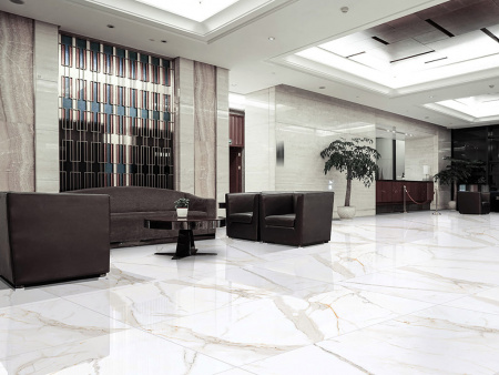 Керамогранит Regal Carara Polished (PR103) 60x60 от Primavera (Индия)