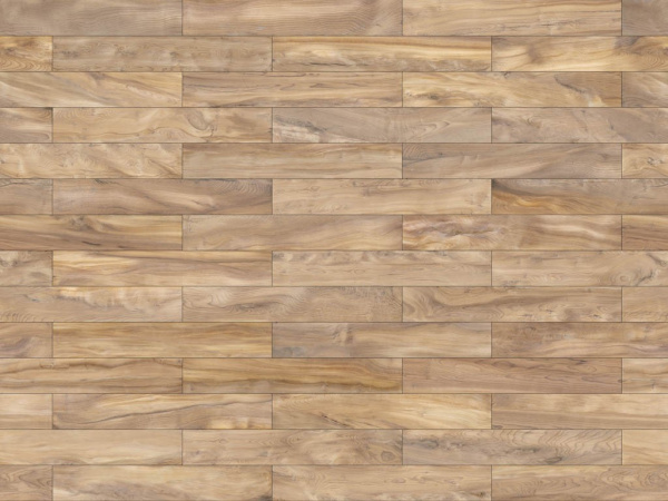 Керамогранит SLONWOOD NAT 20x120 от TAU Ceramica (Испания)