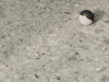Керамогранит Брера Уайт Рет (610010002743) 60x120 от ColiseumGres (Россия)