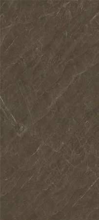 Керамогранит Pisa Grey Polished (6 мм) (MN313CP261206) 120x260 от Moreroom (Китай)