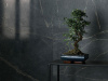 Керамогранит Soap White Rett (MIX) 60x120 от Cercom Ceramiche (Италия)