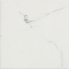 Керамогранит TIMELESS CALACATTA NAT RET (746853) 60x60 от Cerim (Италия)