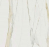 Керамогранит I CLASSICI CAL.GOLD GLOSSY RET (750719) 60x60 от REX Ceramiche (Италия)