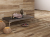 Керамогранит SHINE BEIGE RET. (0076490Q) 20x120 от Cerdomus (Италия)
