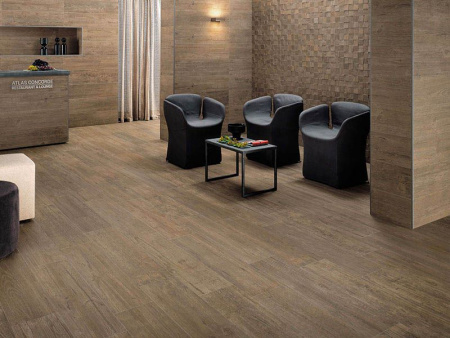 Керамогранит Axi Golden Oak (AS3C) 22.5x90 от Atlas Concorde (Италия)