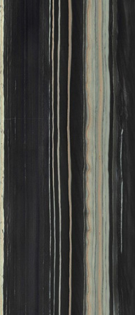 Керамогранит BOSCO BLACK PUL. (6mm) (полированная) 120x280 от TAU Ceramica (Испания)