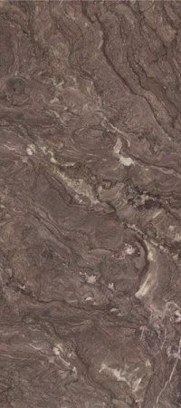 Керамогранит Petrus Polished (9 мм) (MN314CP241209) 120x240 от Moreroom (Китай)