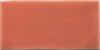 Настенная плитка Fayenza Coral 6.25x12.5 от WOW (Испания)