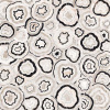Керамогранит SENSI GEMS MULTIQUARTZ LUX (PF60006730) 120x120 от ABK Ceramiche (Италия)