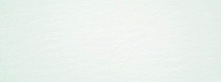 Настенная плитка Aral White Mt Rect (110-008-1) 33.3x90 от STN Ceramica (Stylnul) (Испания)