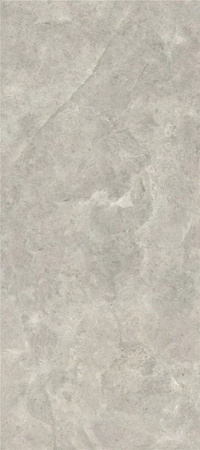 Керамогранит Platinum Leica Silk (6 мм) (MN226AR321606) 160x320 от Moreroom (Китай)