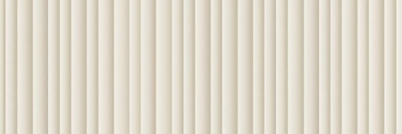 Керамогранит TORNARES DUERO WHITE REC ( под заказ) 16.3x51.7 от TAU Ceramica (Испания)