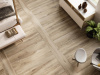 Керамогранит Blaze Natural Matt Rect 22.7x119.5 от STN Ceramica (Stylnul) (Испания)