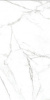 Керамогранит MARBLES CBP05647M (G011315) 60x120 от Monalisa (Китай)