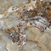 Керамогранит AGYARO Verde High Glossy 60x60 от ITC (Индия)