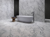Керамогранит Staturio Altissimo Polished (6 мм) (MN026AP271206) 120x270 от Moreroom (Китай)