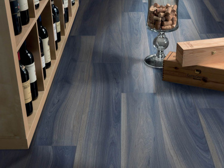 Керамогранит JUST COLOR Brown (58603N) 20x120 от Gardenia Orchidea (Италия)