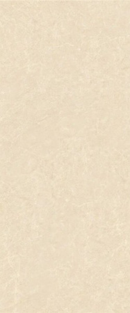 Керамогранит Magnoliasa Extra Polished (6 мм) (MN114AP261206) 120x260 от Moreroom (Китай)