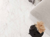 Керамогранит Carrara Immense белый Полированный 60x120 от Ceradim (Индия)