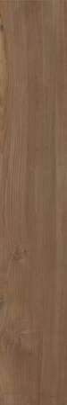 Керамогранит MILTON NOCE 60 10x60 от Geotiles (Испания)